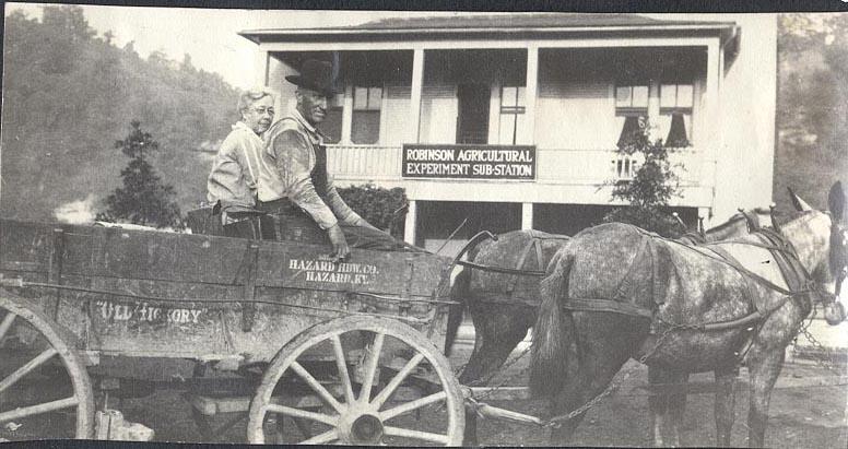 Robinson Station Horse and Buggy